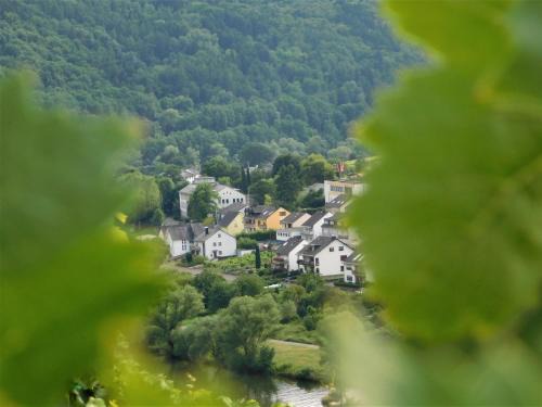 Kaimt Apartment | Fewo Winzerstrasse