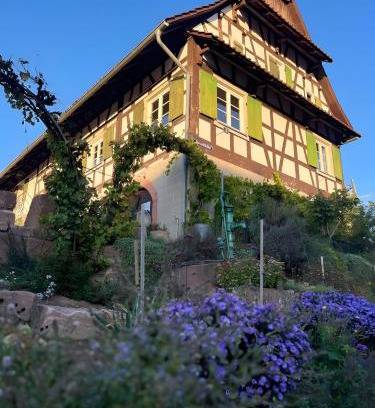 Offenburg Apartment | Fewos Weingut Pieper Basler