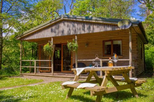 St. Florence House | Fiddlers Green Log Cabin Tenby
