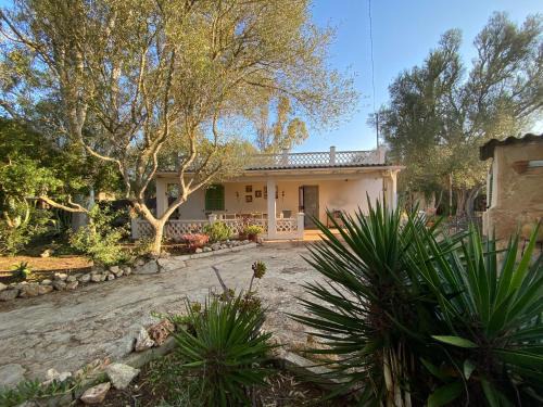 Ses Salines House | Finca Casa Farah