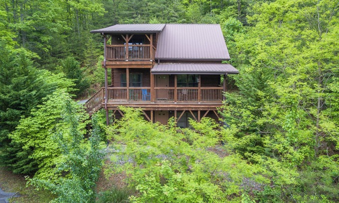 Black Mountain Cabin | Firefly Lodge | Private Log Cabin with Gas Grill & Mountain Views!