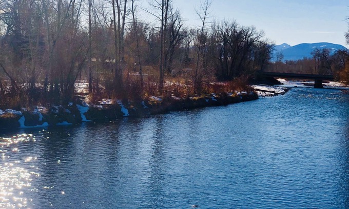 Bozeman House | Flyfish the Gallatin from your Backyard!