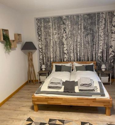 Menzenschwand-Hinterdorf House | Forest Apartment-Forest Escape Menzenschwand