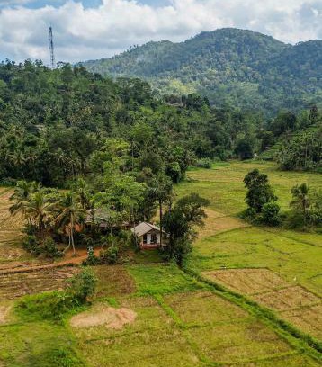 Kotapola House | Forest & Fields Sinharaja