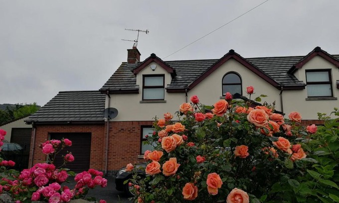 Carrickfergus Bed & Breakfast | Fox Heaven B&B