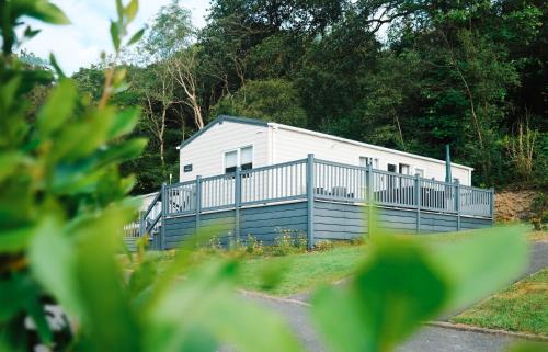 New Quay Ski Chalet | Foxglove Lodge