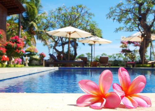 Lovina House | Frangipani Beach Hotel