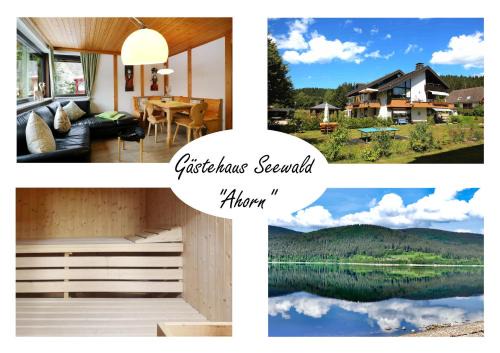 Blasiwald Apartment | Gästehaus Seewald- Ferienwohnung 1 "Ahorn", Schluchsee, Blasiwald