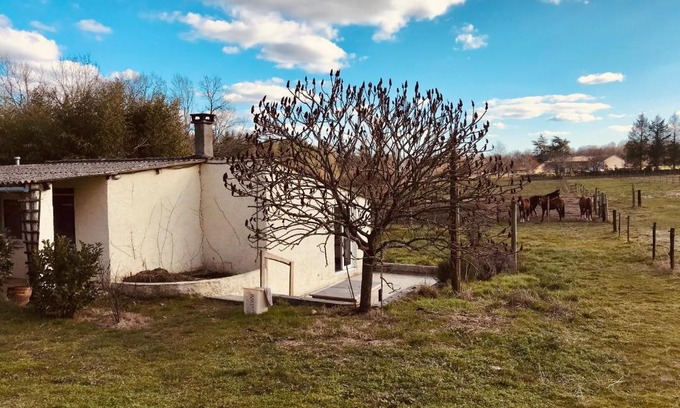 Eygurande-et-Gardedeuil Apartment | Gîte de l’écuyer