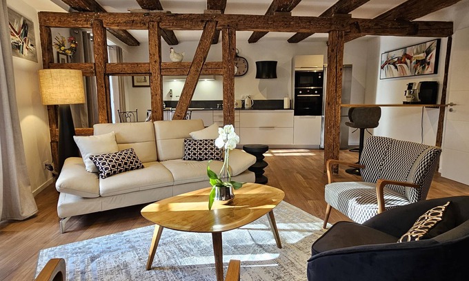 Kaysersberg-Vignoble Apartment | Gîte du XVe - Centre Historique de Kaysersberg