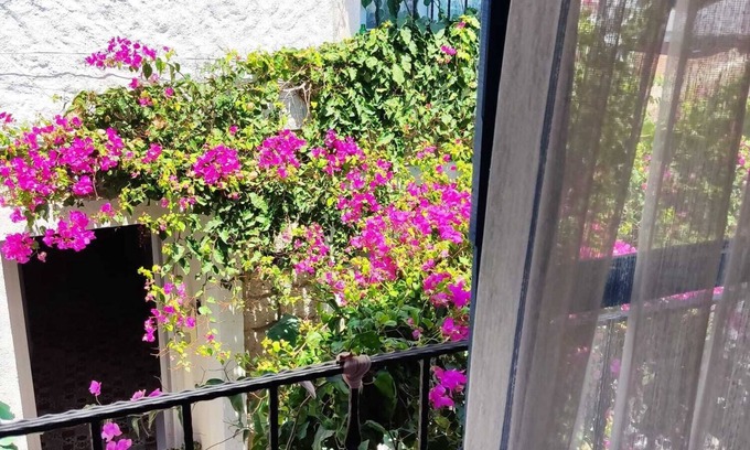 Alacati Hotel | Gül Hanım Konağı