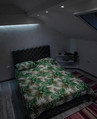 Kraljevo Apartment | Garden apartment & parking