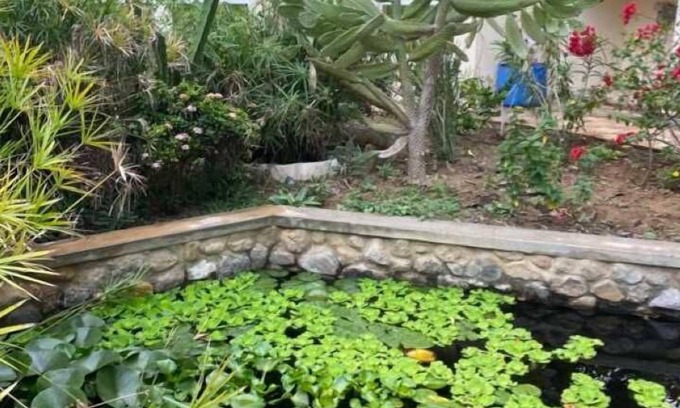 Al Ghubrah Ash Shamaliyyah Bed & Breakfast | Garden Roomz Oman - the goto B&B spot in Muscat
