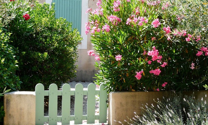 St.-Remy-de-Provence House | Gardens Fontanille Mazet 33 olive trees live in the heart of Provence