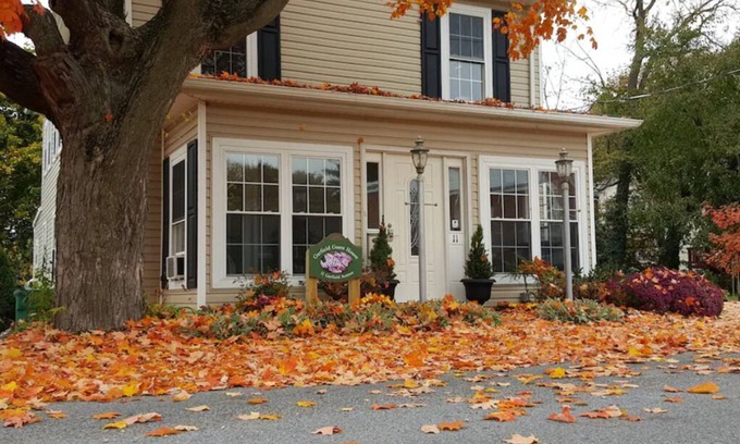 Luray Apartment | Garfield Guest House - Hawksbill Suite