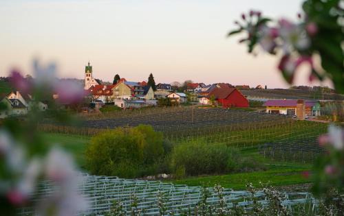Kressbronn Hotel | Gasthof Brennerei zum Forst