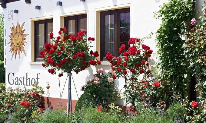 Rofingen Hotel | Gasthof zur Sonne
