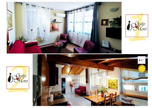 Longara House | GattoMoro