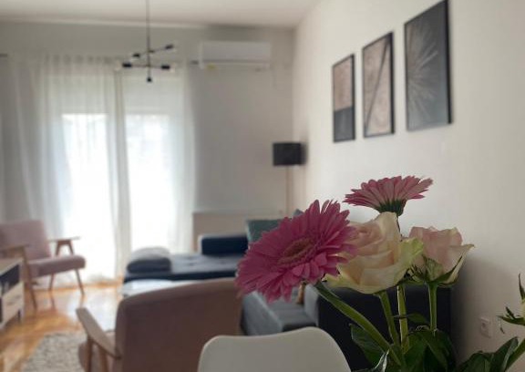 Arandelovac Apartment | Gavrilovic