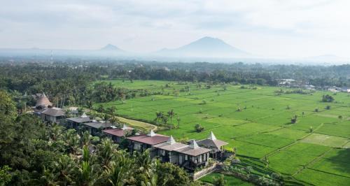 Ubud Resort | Gdas Bali Health and Wellness Resort - Adult Only