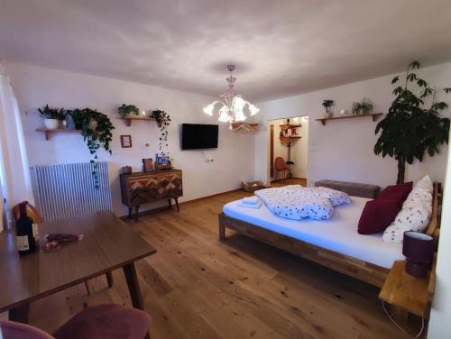 Fie allo Sciliar Apartment | Gemütliches Studio mit Garagenparkplatz