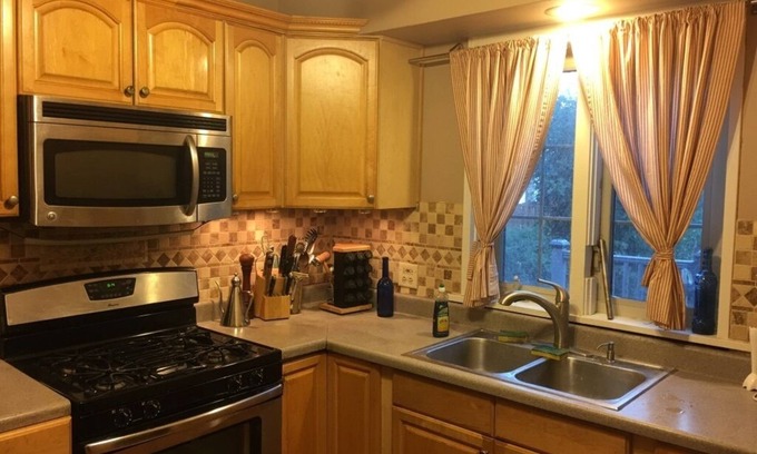 Sauganash House | Ginger house