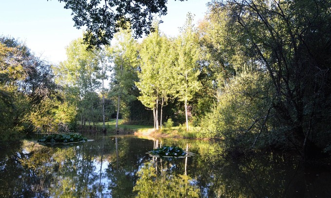 Savigne Cottage | Gite with private pool in savigné