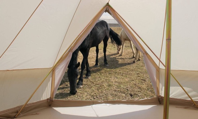 Tequisquiapan RV Rental | Glamping 2 + Luz de las Estrellas en el Rancho