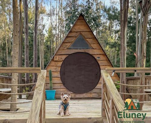 Paredones Other | Glamping Eluney Bucalemu