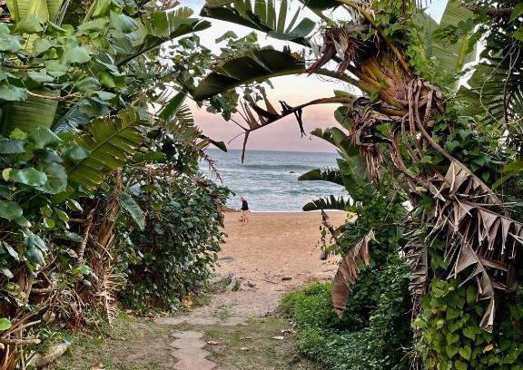 Ramsgate Beach Cabin | Gracelands Beach Lodge