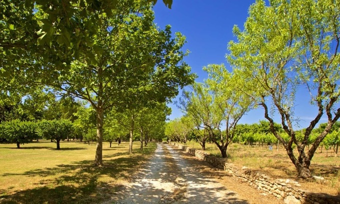 Joucas House | GRAND LUBERON A LARGE LUXURY VILLA IN THE BEAUTIFUL HILLTOP VILLAGE OF GORDES