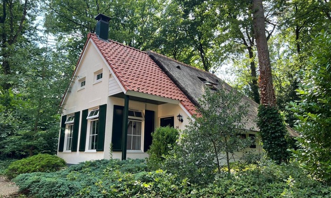 IJhorst Cottage | GREAT TIT - AMONG THE TREES!