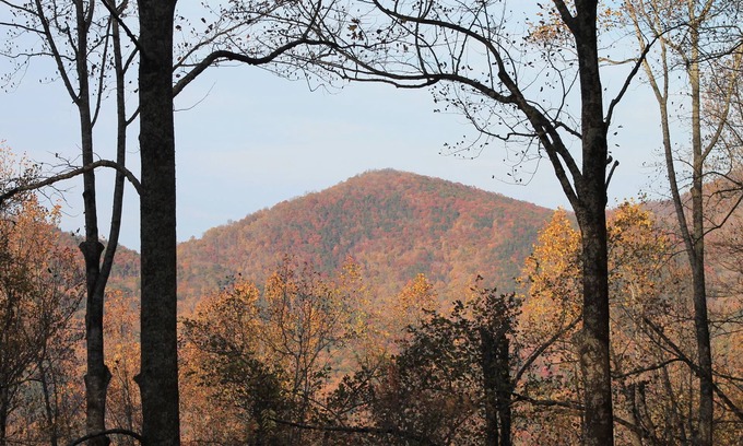 Walnut Mountain Cabin | Great Vacation Home In Ellijay