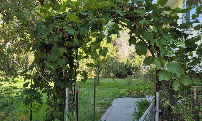 Layton House | Greenish-Acres Farmhouse