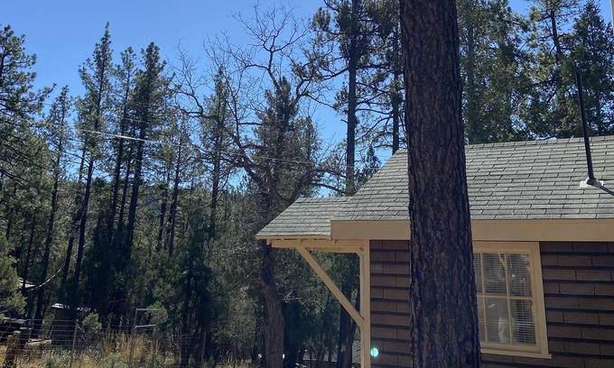 Star Valley Ski Chalet | Grizzly Pines | Off-Grid Chalet in the Woods |