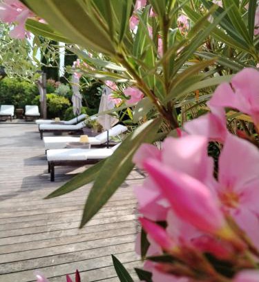 Cotignac Bed & Breakfast | Guesthouse Le Mas de Cotignac