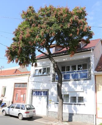 Eger House | Hív-Lak Apartman