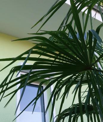 Quierschied Apartment | Happy 1