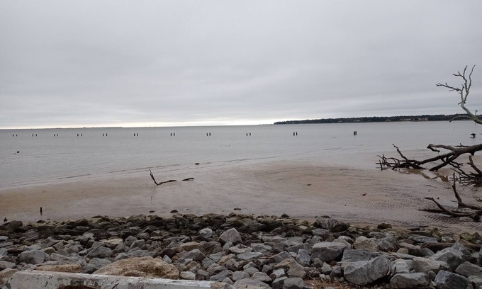 Driftwood House | !HAPPY OURS BAY COTTAGE!