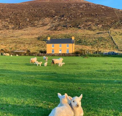 Ring of Kerry House | Hidden Hills Waterville - Private Farmhouse