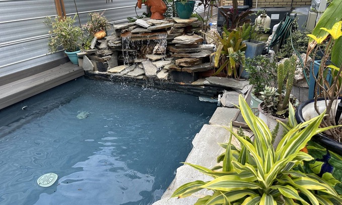 Historic Uptown Apartment | Hidden Oasis Guest Apt+Kg Bd 2bikes/close DT