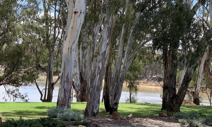 Moama Resort | Highview Waters Resort Moama , overlooking the Murray River a premier property.