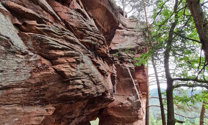 Ludwigswinkel Apartment | Hiking-biking-relaxing in the Palatinate Forest Nature Park