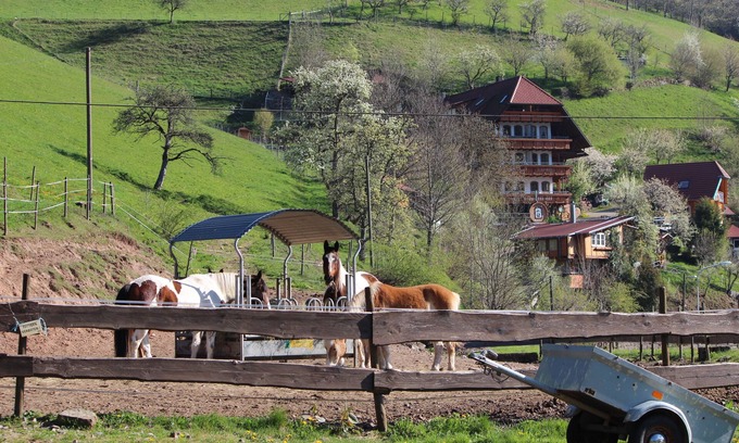 Bad Peterstal-Griesbach Apartment | Hiking vacation or just relaxing, leaving everyday life behind