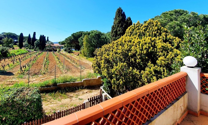 Lido di Capoliveri Apartment | Holiday Apartment "La Scogliera" with Sea View, Air Conditioning & Terrace