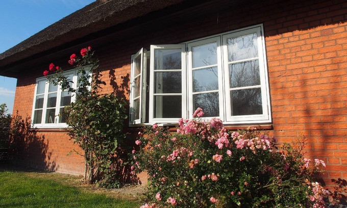 Fedderswarf Apartment | Holiday apartment Ockholm for 1 - 4 persons with 2 bedrooms - Holiday apartment in one or multi-fami