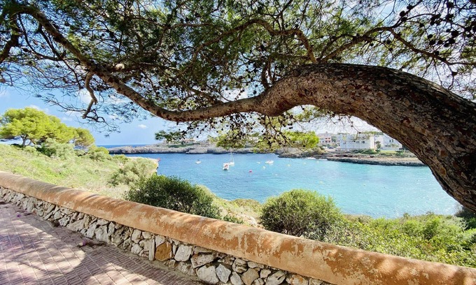 Son Macia Apartment | Holiday apartment Son Macià for 1 - 2 persons with 1 bedroom - Holiday apartment in one or multi-fam