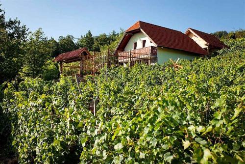 Trska Gora House | Holiday home in Otocec Kranjska Krain 26062