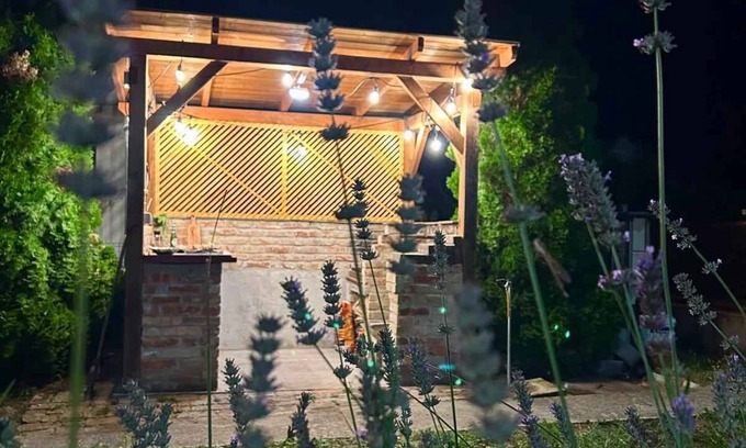 Balatonfenyves House | Holiday home with terrace and air conditioning