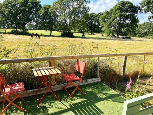 New Forest District House | Holly Tree Cottage - 3 bedrooms and large garden with optional glamping double outside